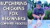 Butchering Chickens For Beginners The Complete Process From Coop To Freezer