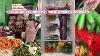 Let S Go Grocery Shopping In Nairobi Kenya Fridge Restock U0026 Organizing How To Store Vegetables